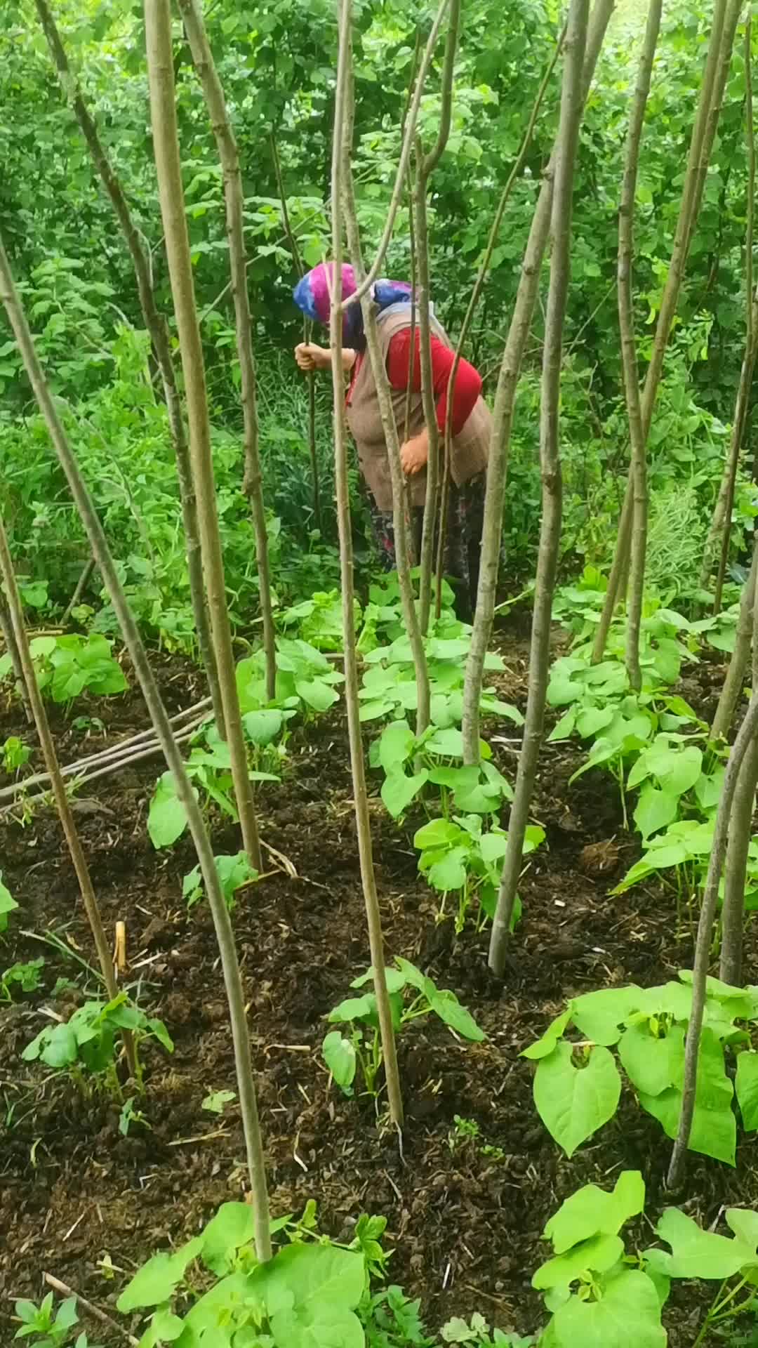 @Zoğa