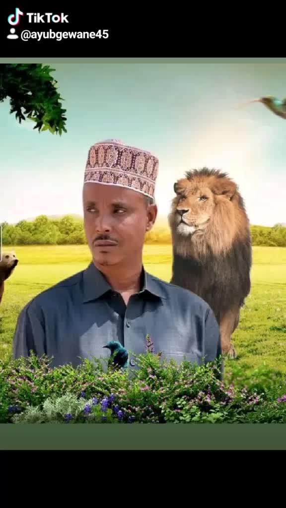 @@Ayub Gewane45