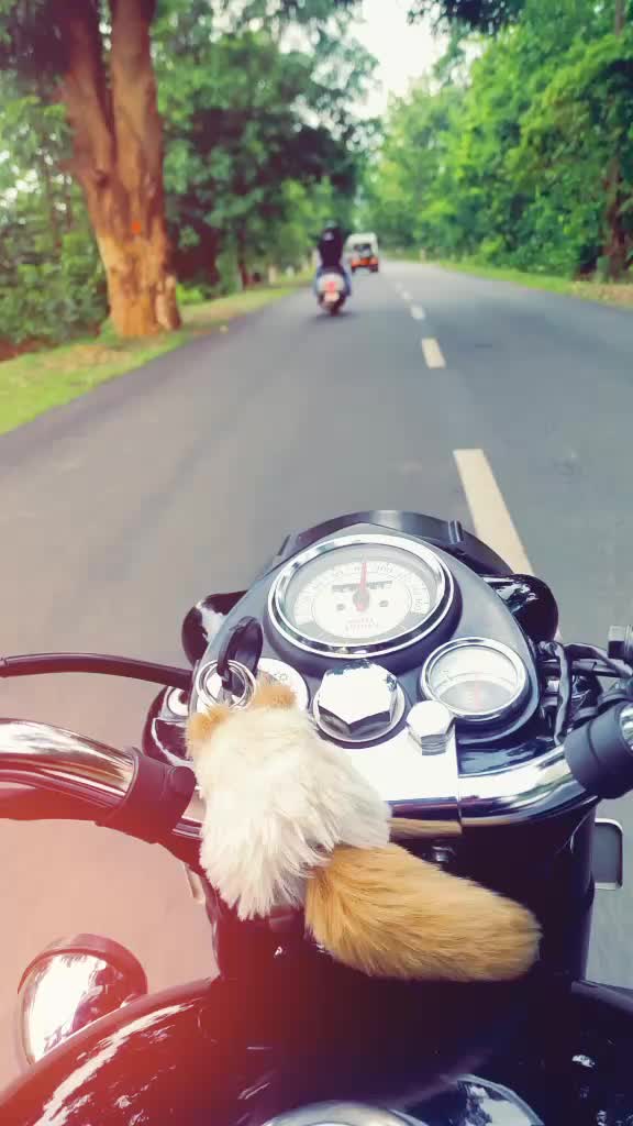 @Raj Kumar