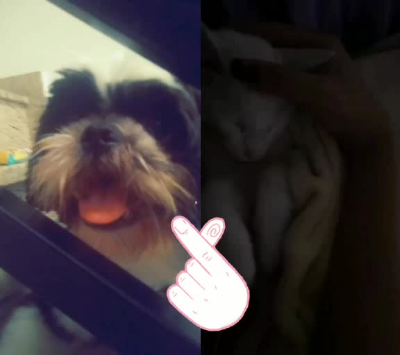 @Pithuco_fofinho