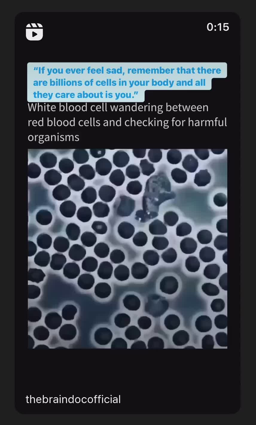 @Braindoc