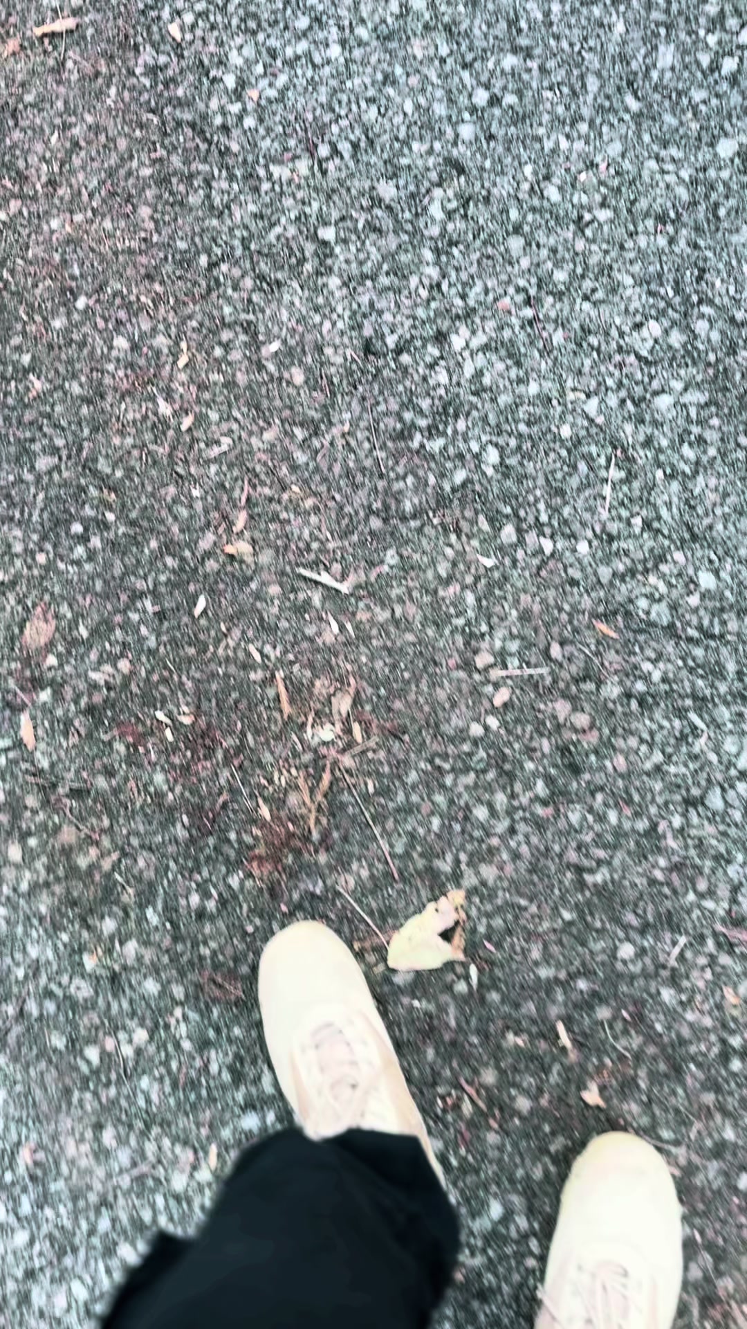 @サジットS14🇯🇵