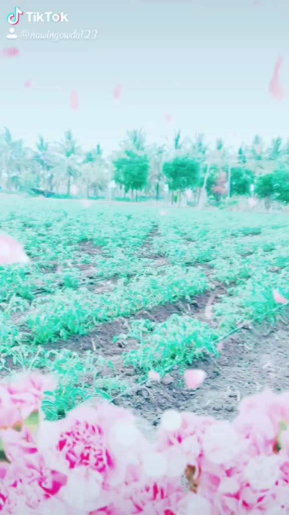 @ನವೀನ್ ಗೌಡ ಹಾಸನ್🇮🇳