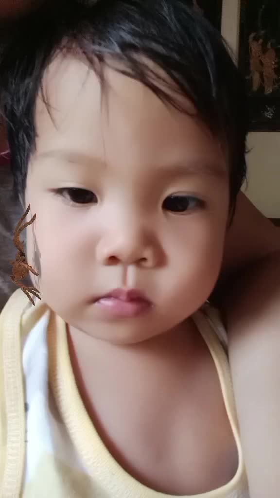 @christina flauta