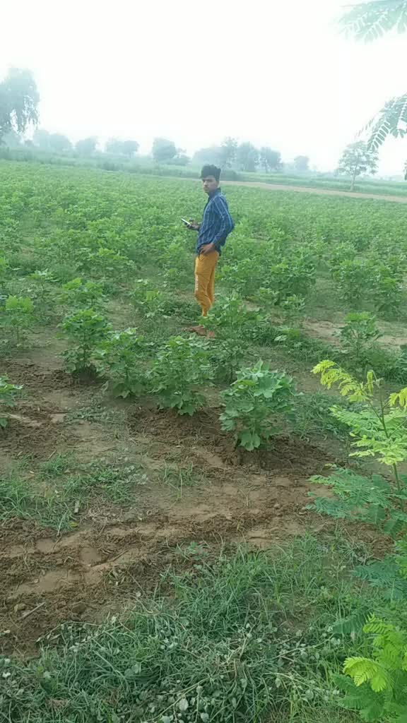 @djhiteshrock3