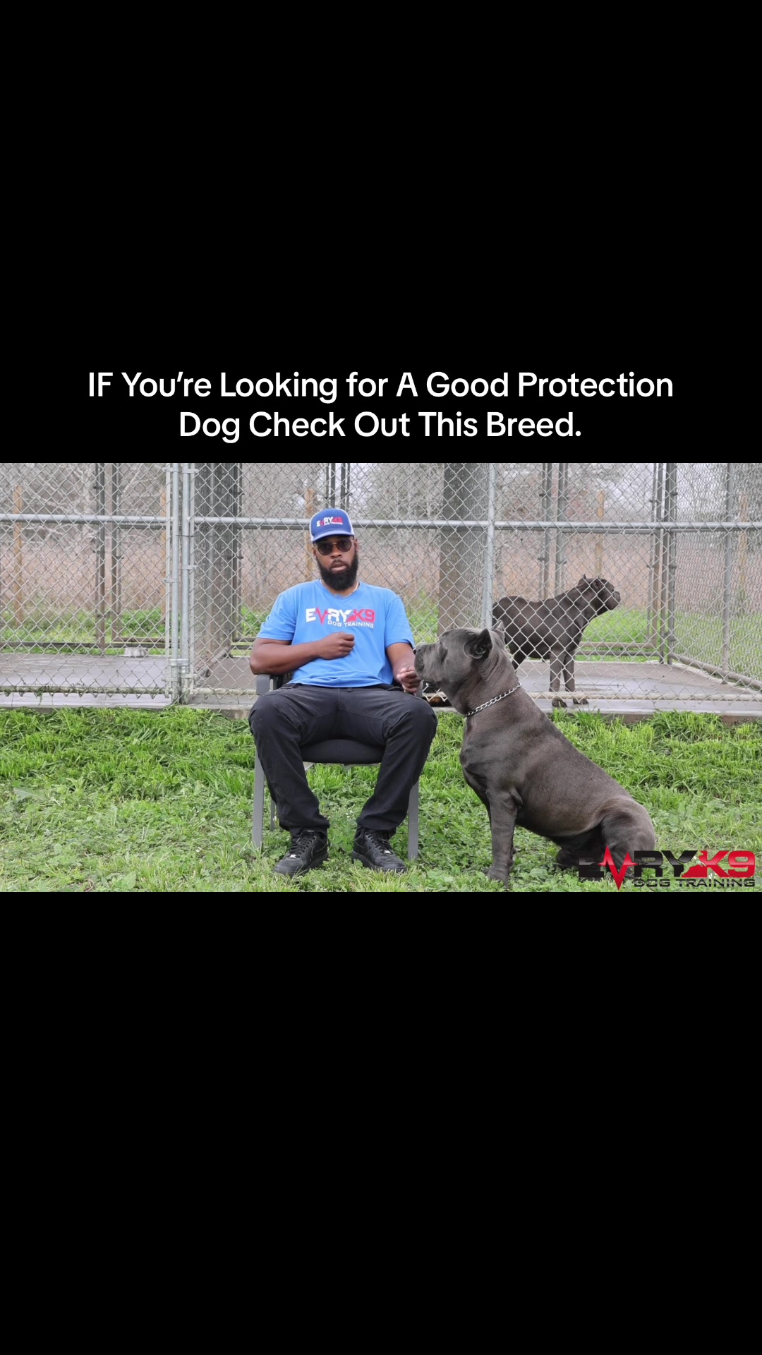 @Evry K9