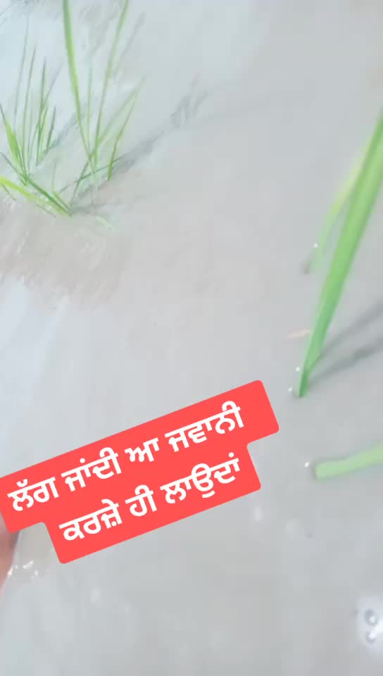 @Kulwinder__Mehra