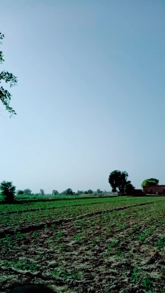 @Sandeep Singh