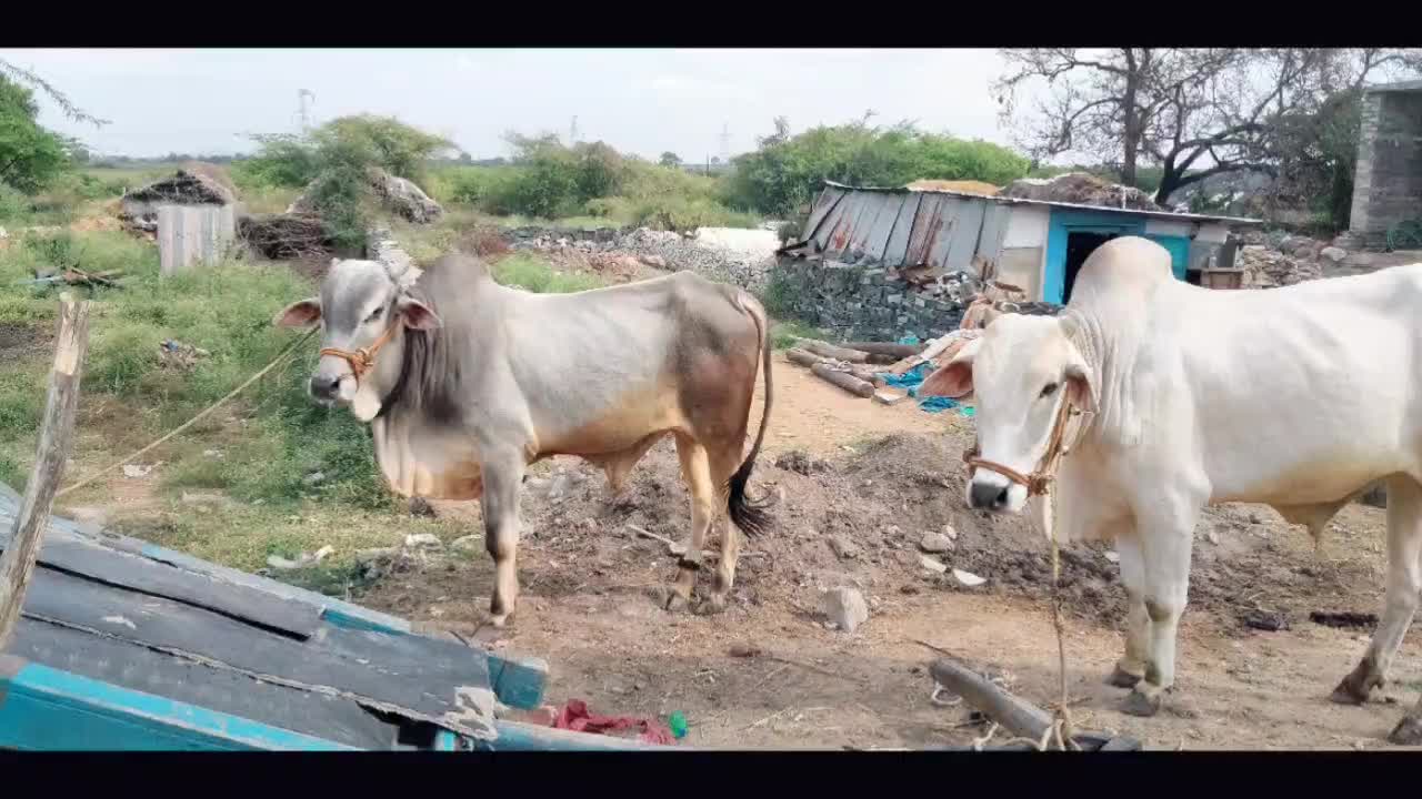 @user2576177507899