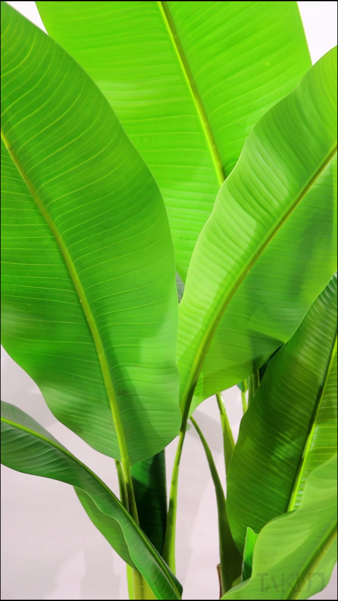 @Fábrica de plantas artificiais