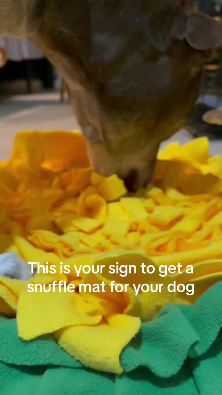 @Raised by Wolves