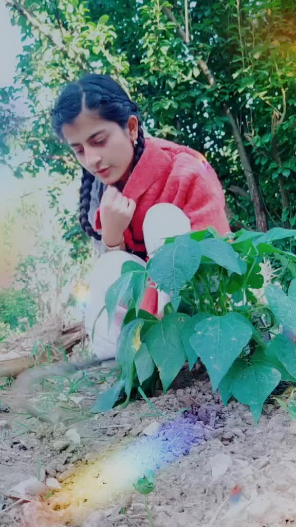 @pahadan🌲🌲👑