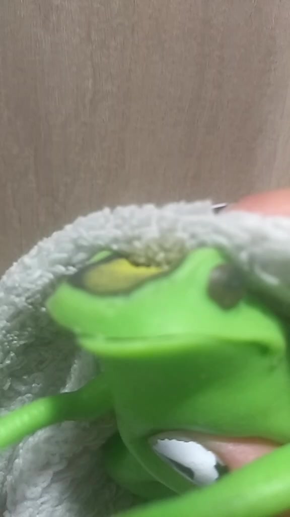 @🐸🐸🐸