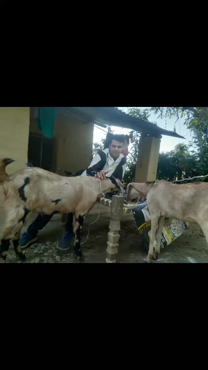 @hikmat