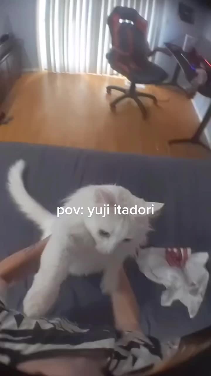 @<:o