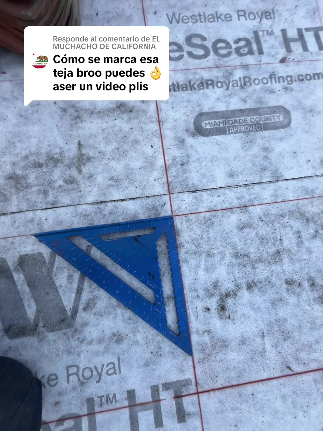 @" OSORIO "