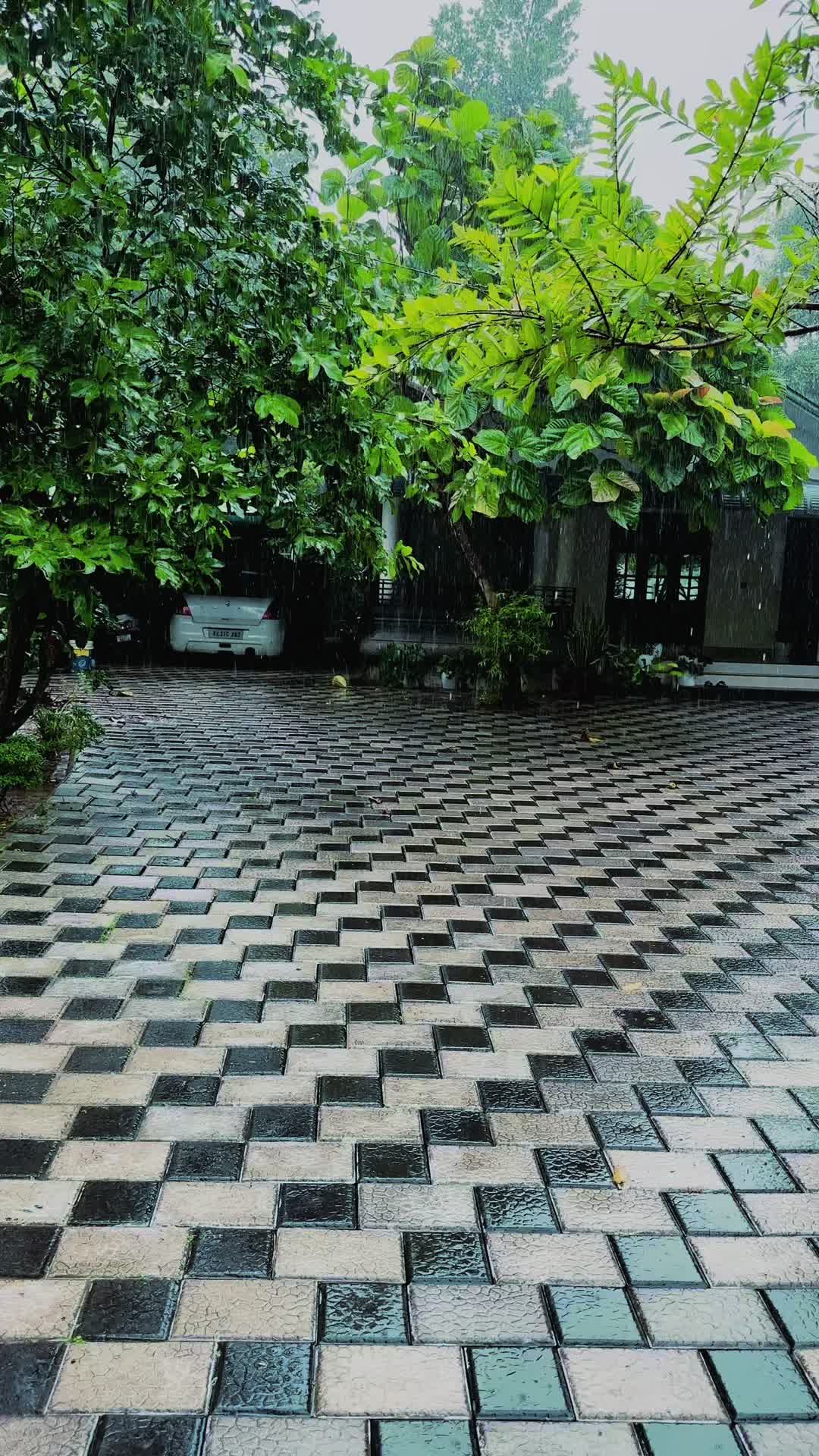 @❤️ഓർമകൾ❤️