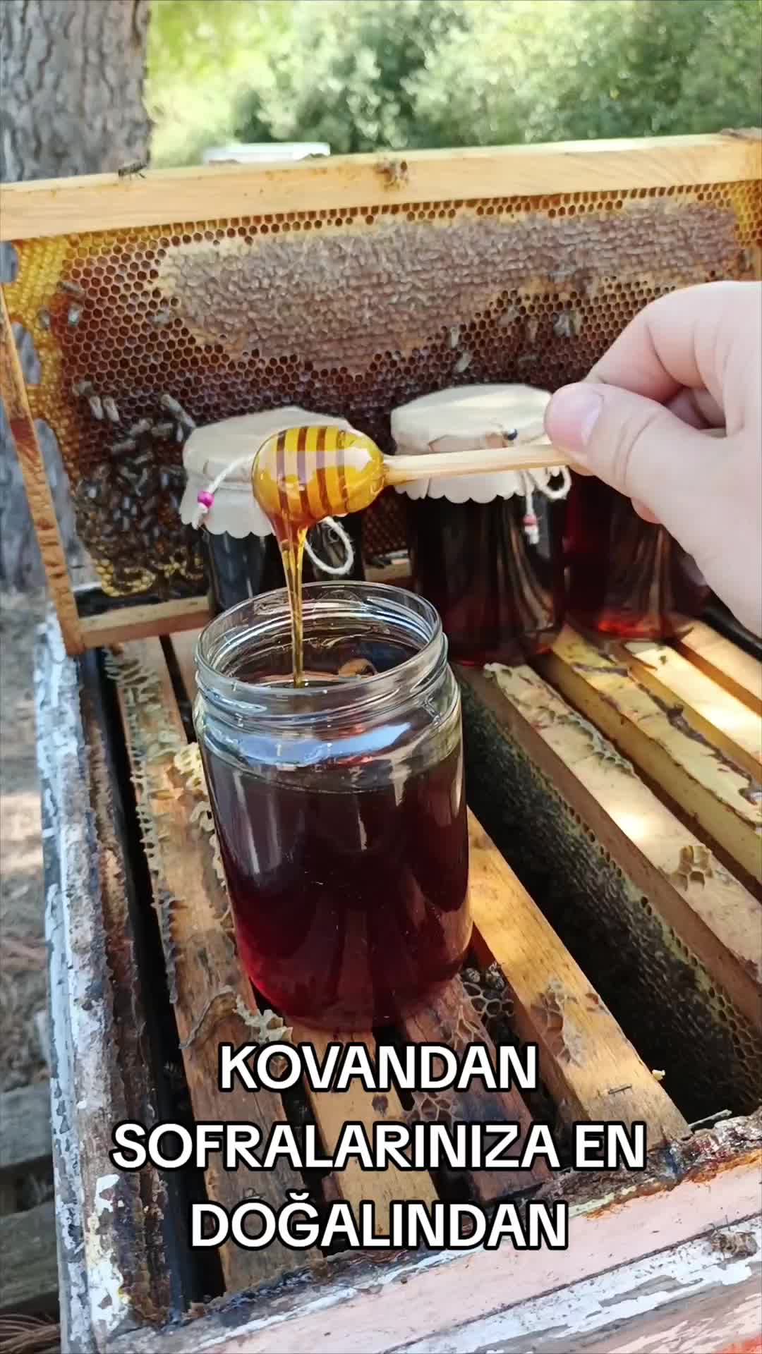 @Arıcı Furkan