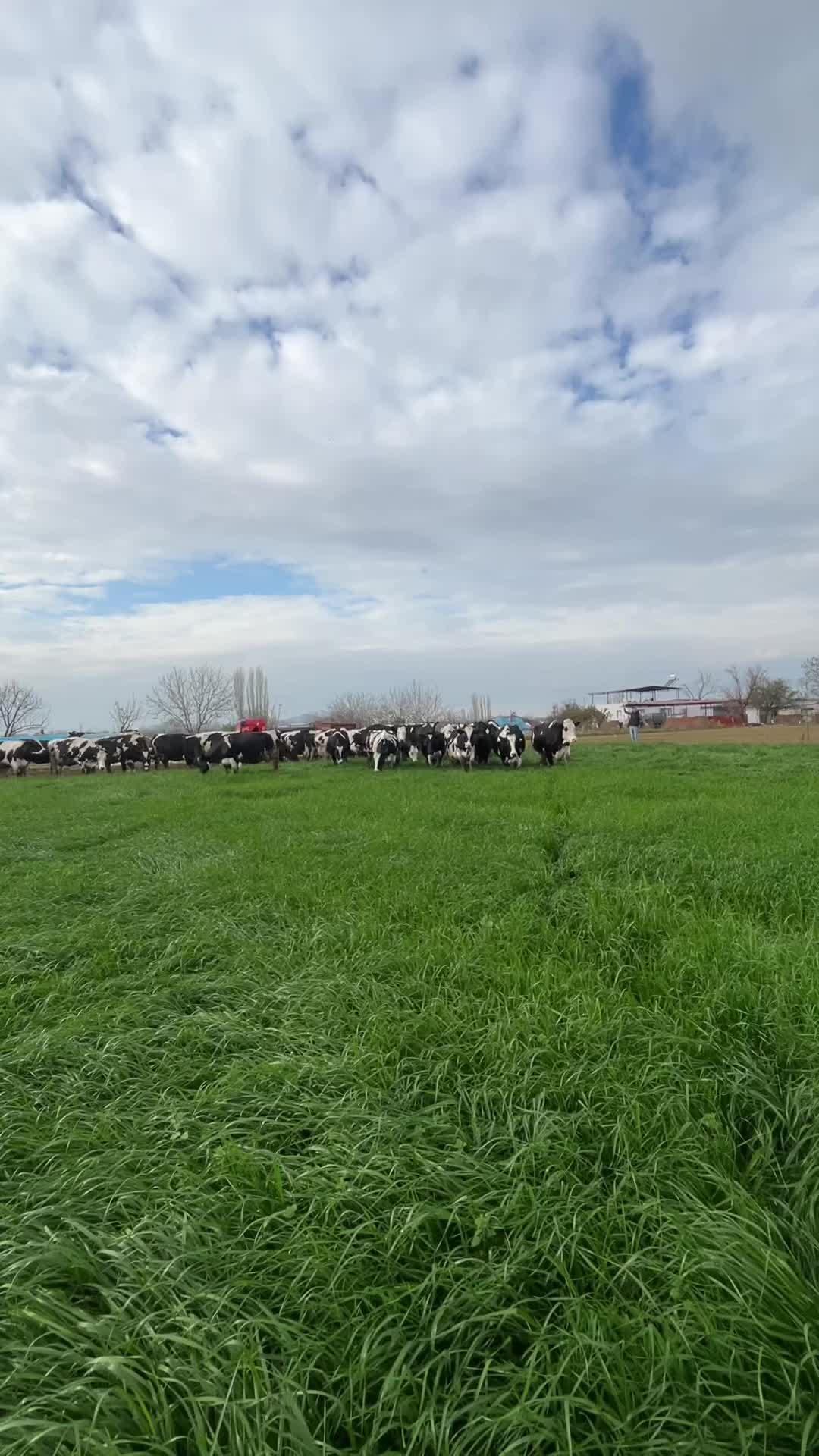 @Hüseyinn.yılmaz