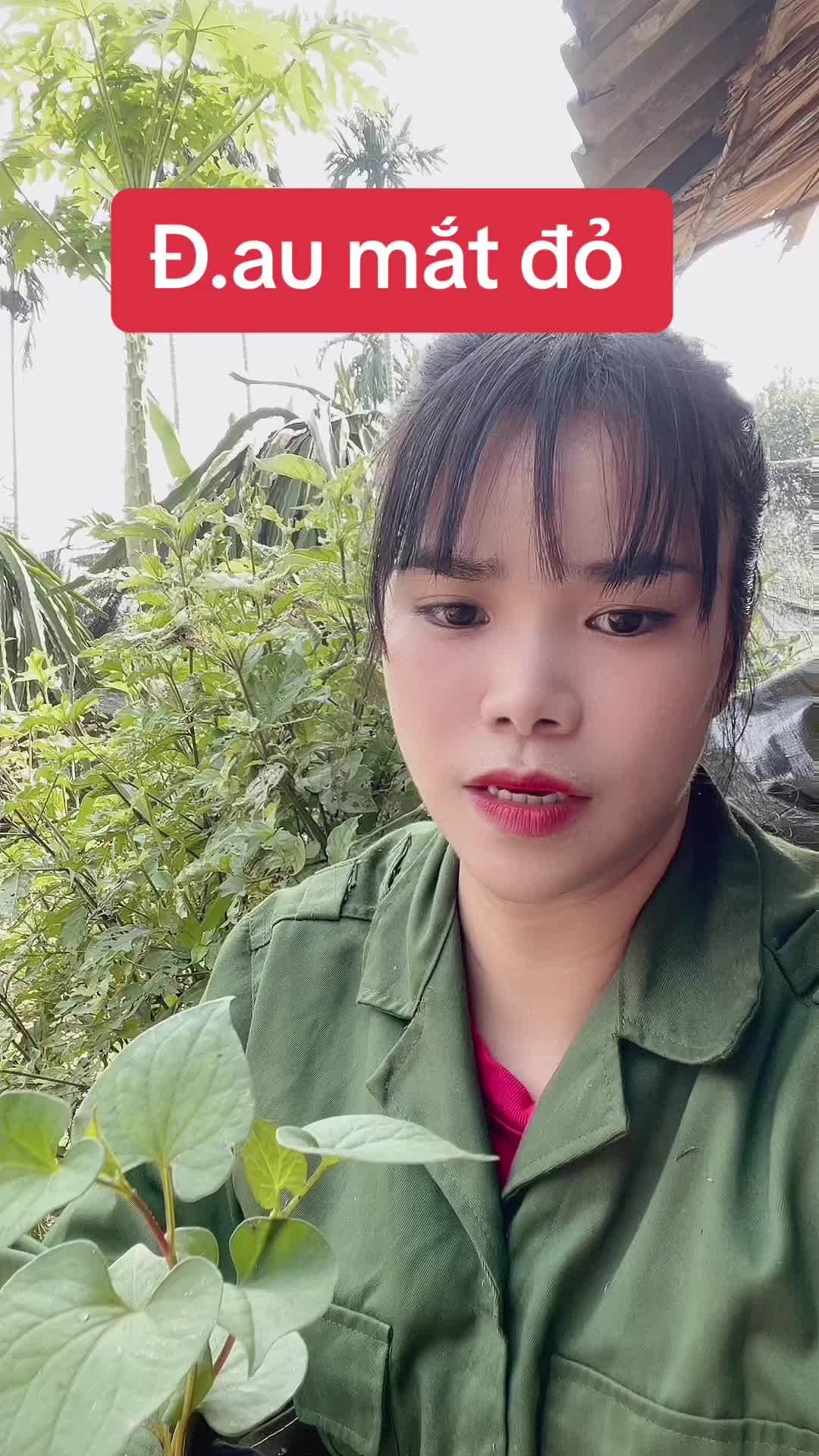 @Ngọc Chinh Miền N&uacute;i