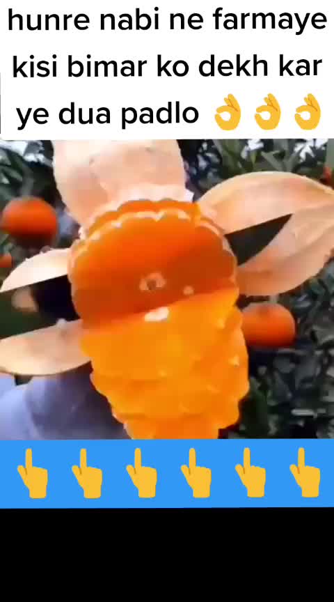 @jannatunkhan57@gmail.com