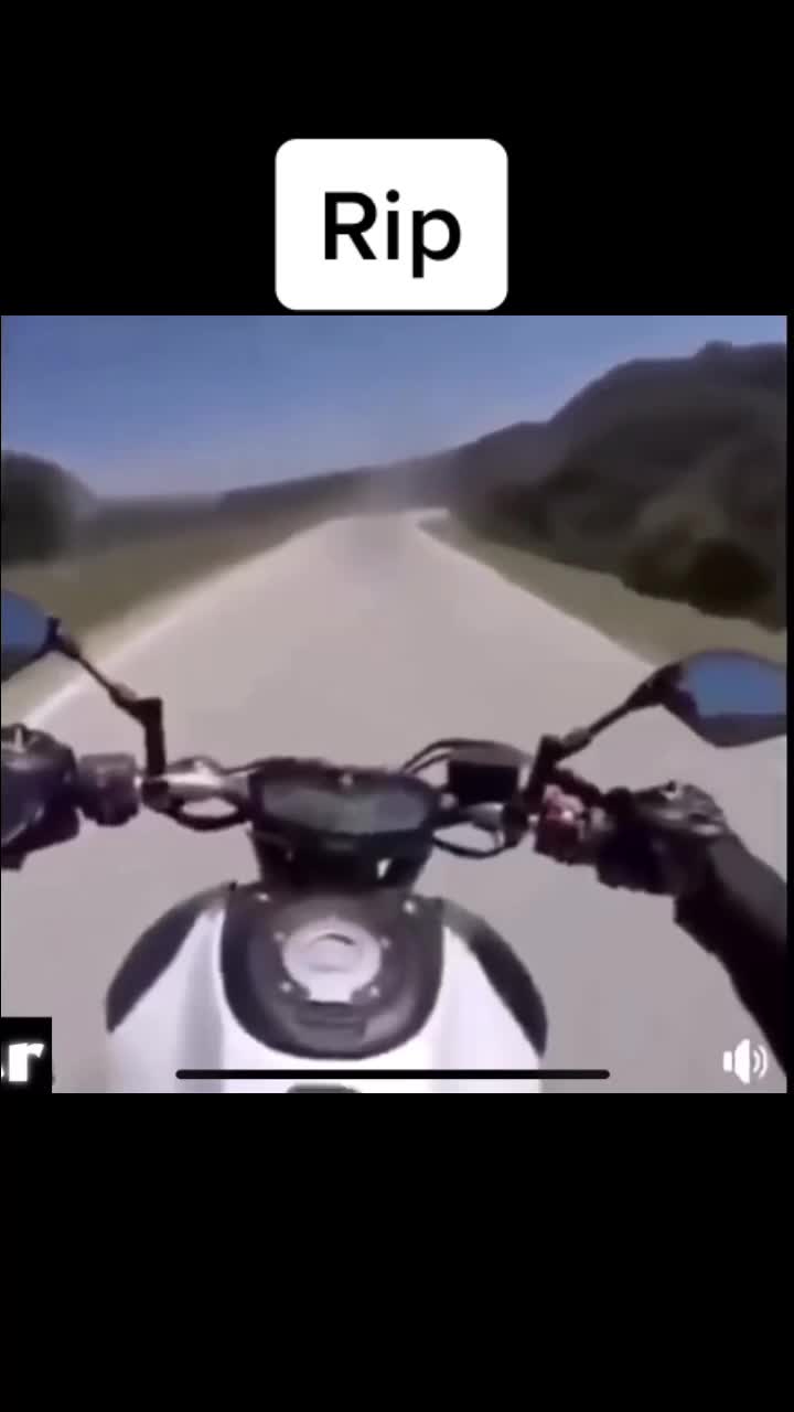 @When_animals_attack