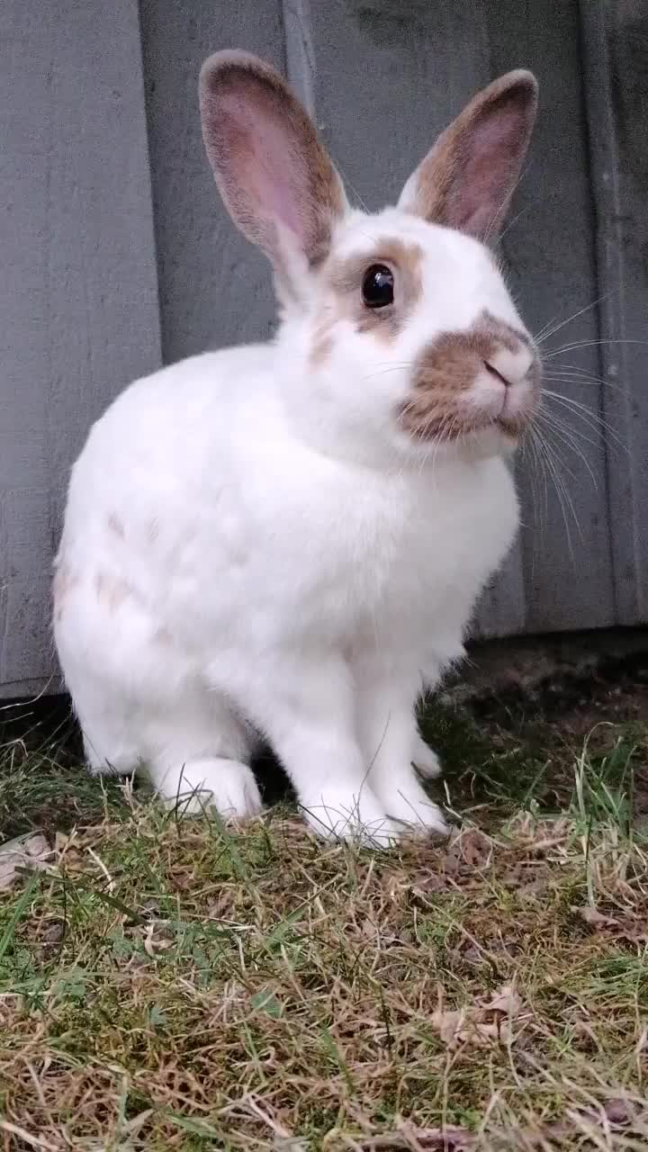 @✌︎