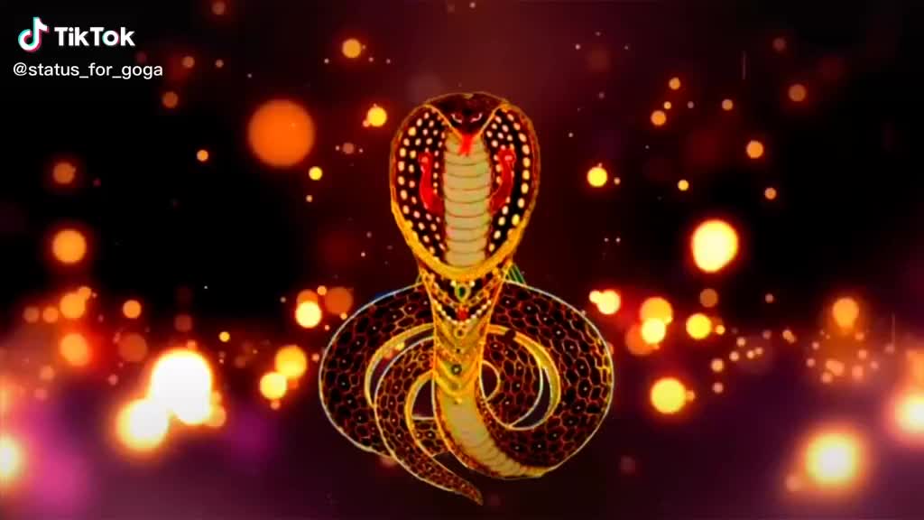 @🦁જીગુભા🦁