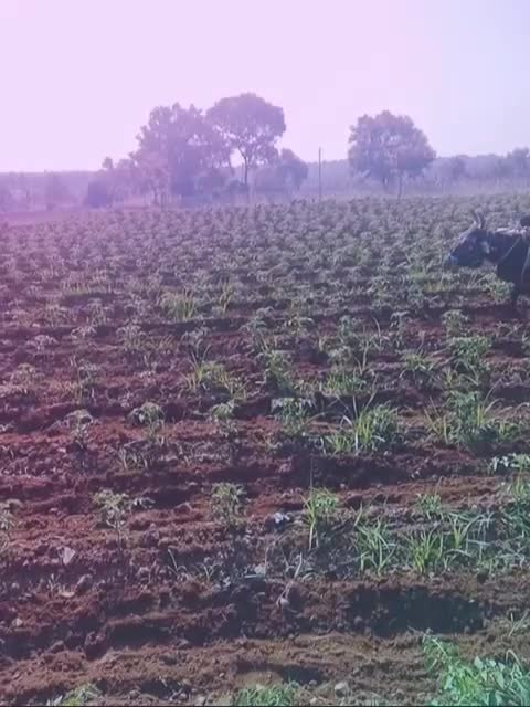 @Naveena.s