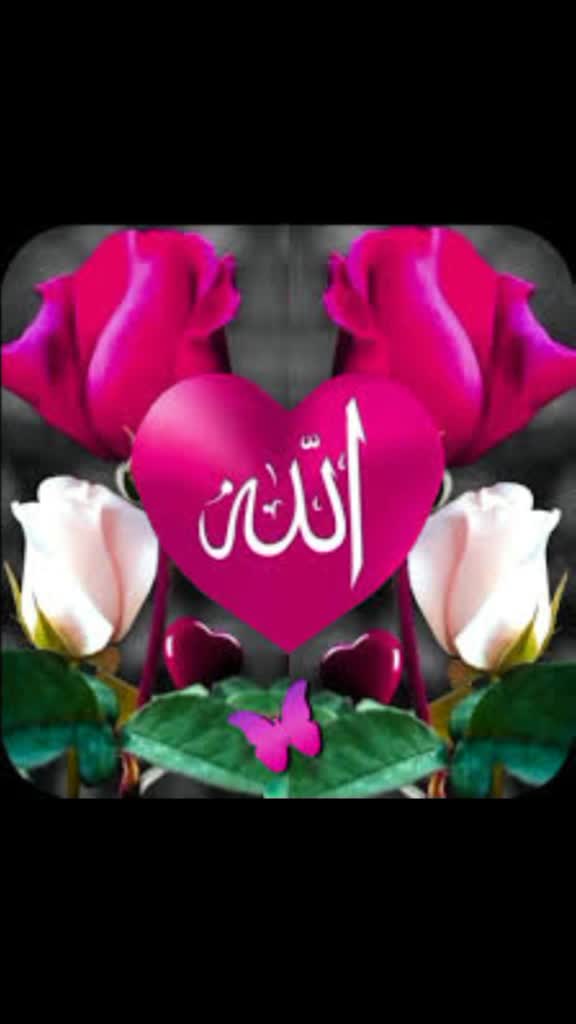 @simran digital video