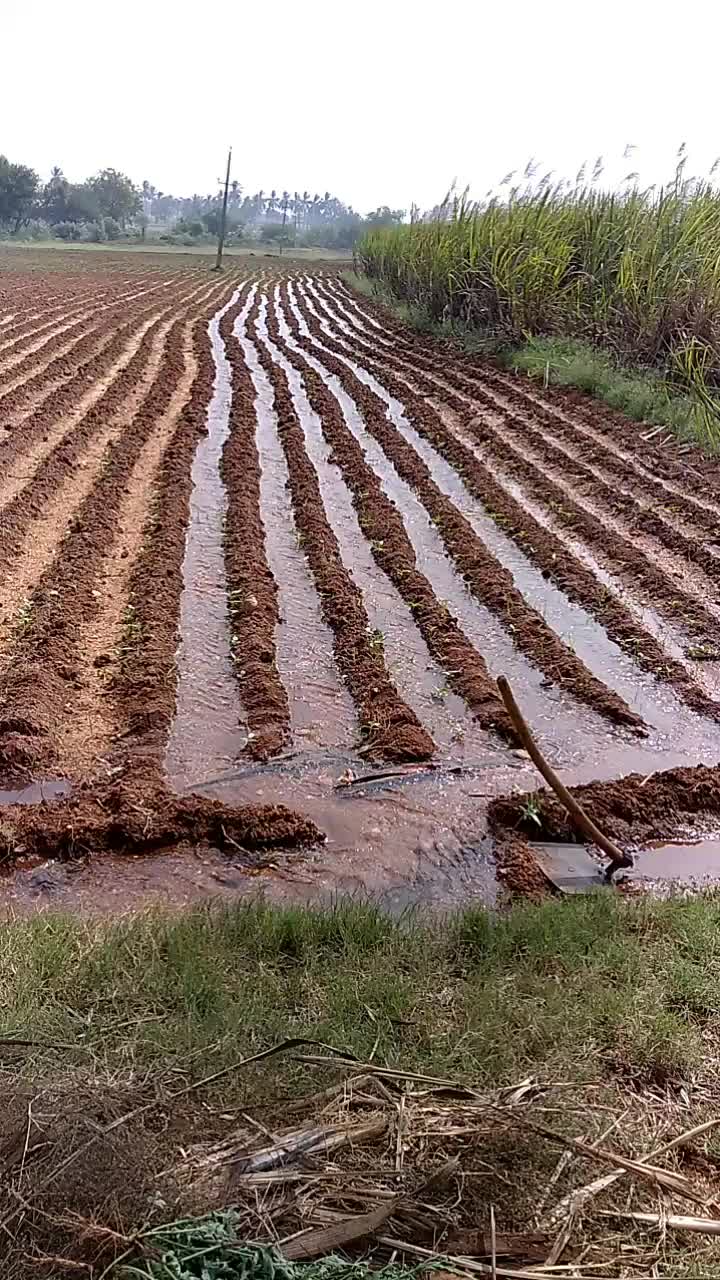 @user9526431753779