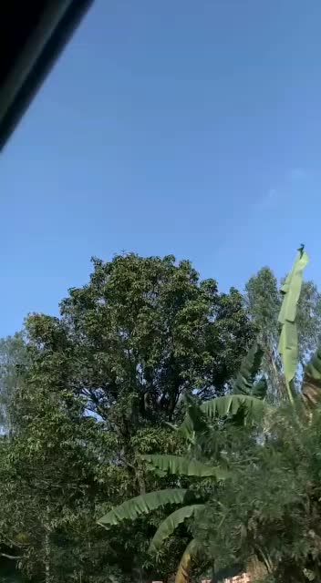 @mantasha786