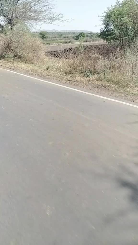@Avesh Dipak Masane