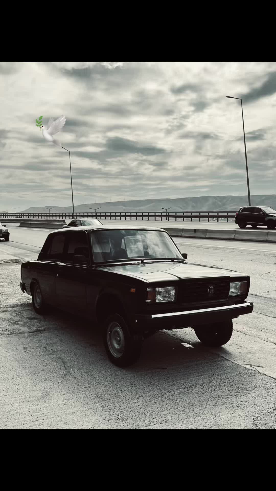 @🔗🕊️