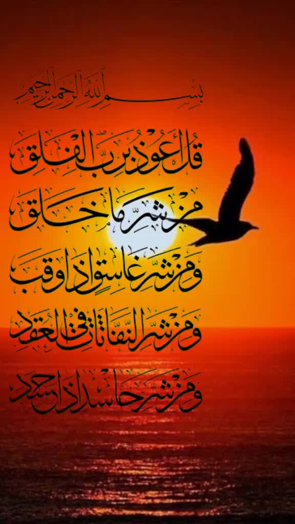 @حسين علاء
