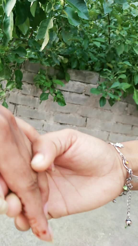 @Sikha Nayak