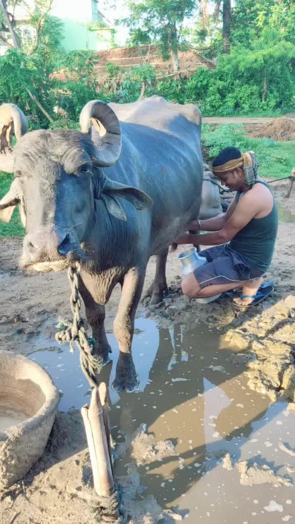 @akash das