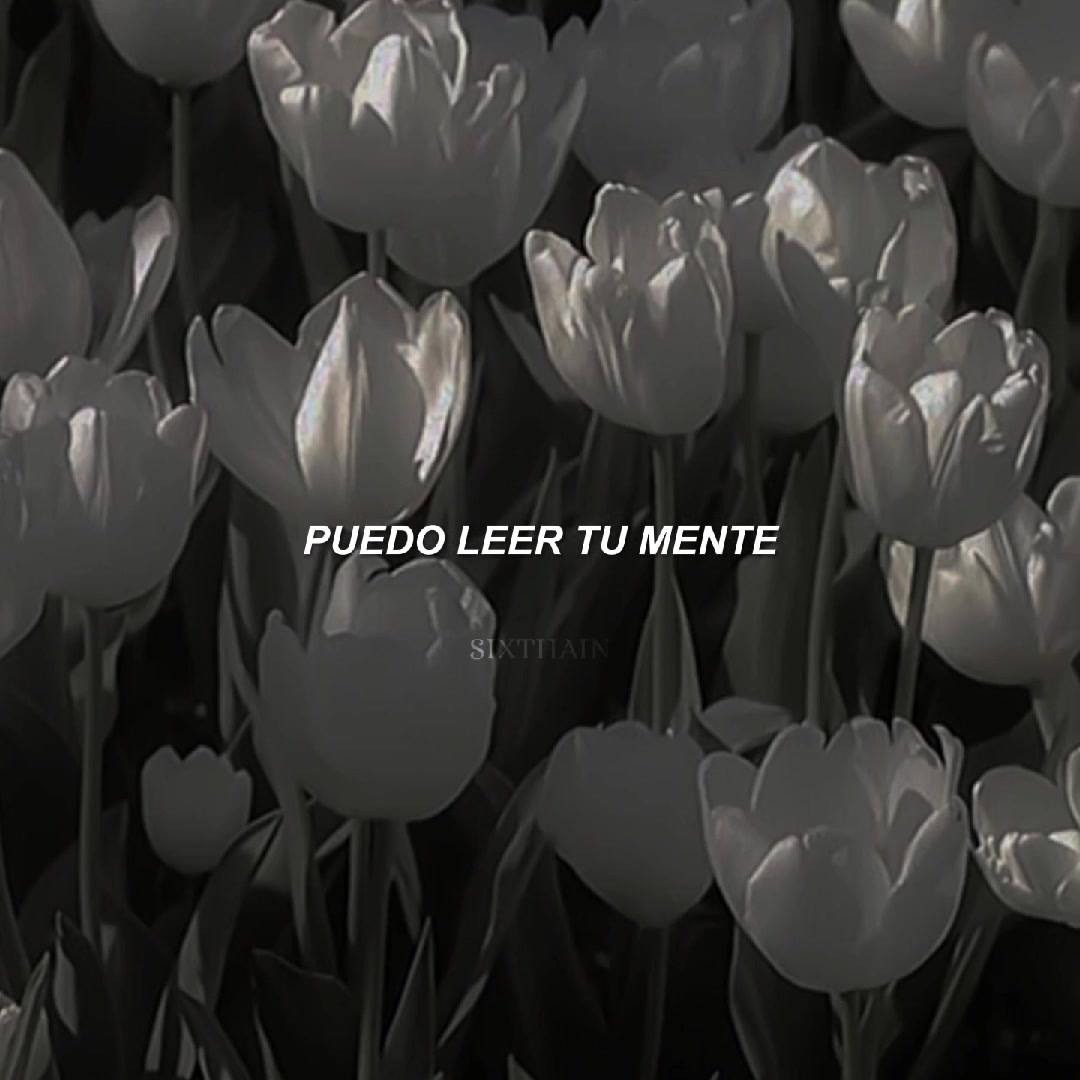 @ᴄɪᴋᴋ ʀɪᴘᴘ
