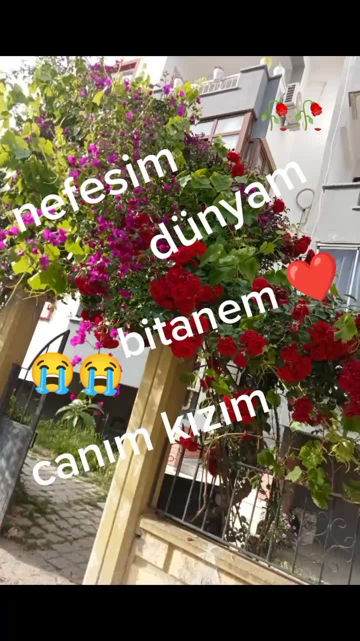 @Yasemin Çetin