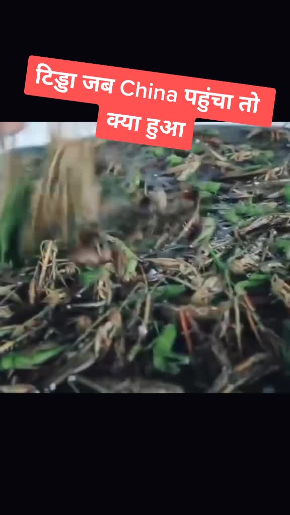 @Shrawan Kumar Dhuri