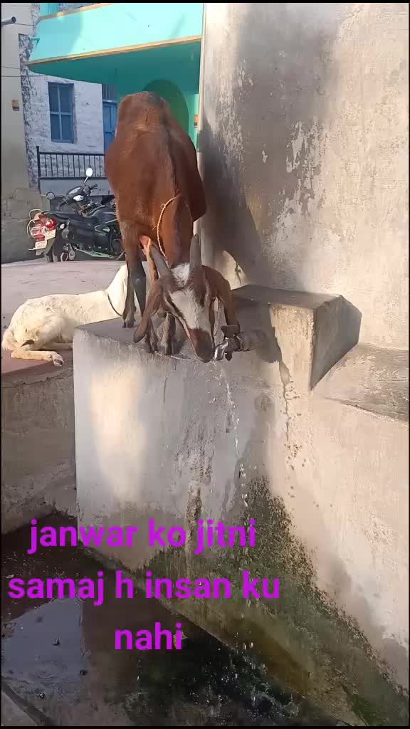 @Jeelan Jeelan