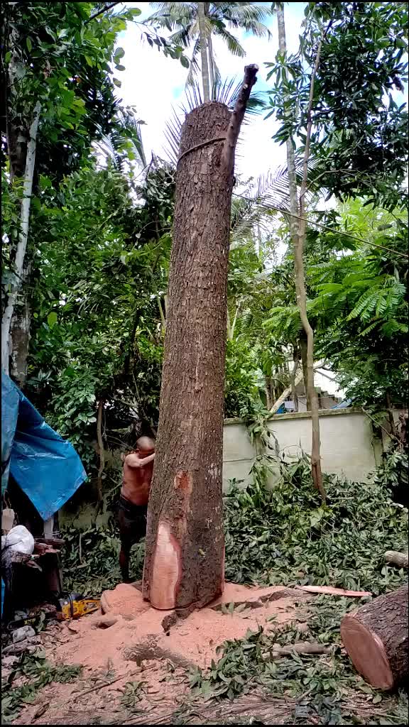 @Rajesh Nelliparambil