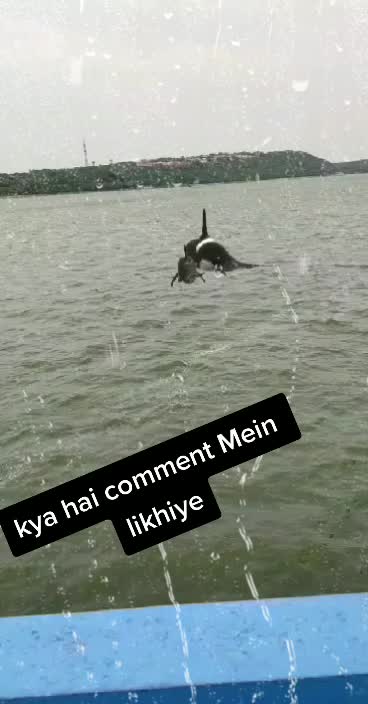 @Pravin oswal