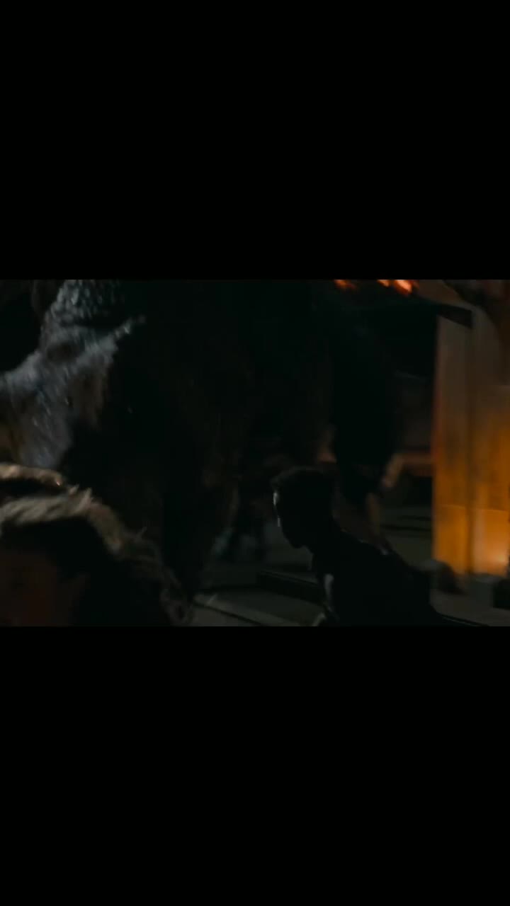 @🦖🦕