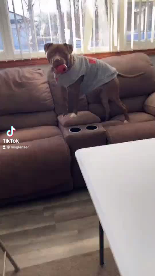 @harley134