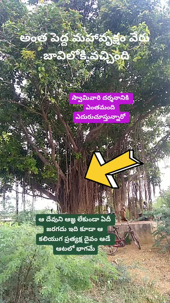 @Venkatesh Venky