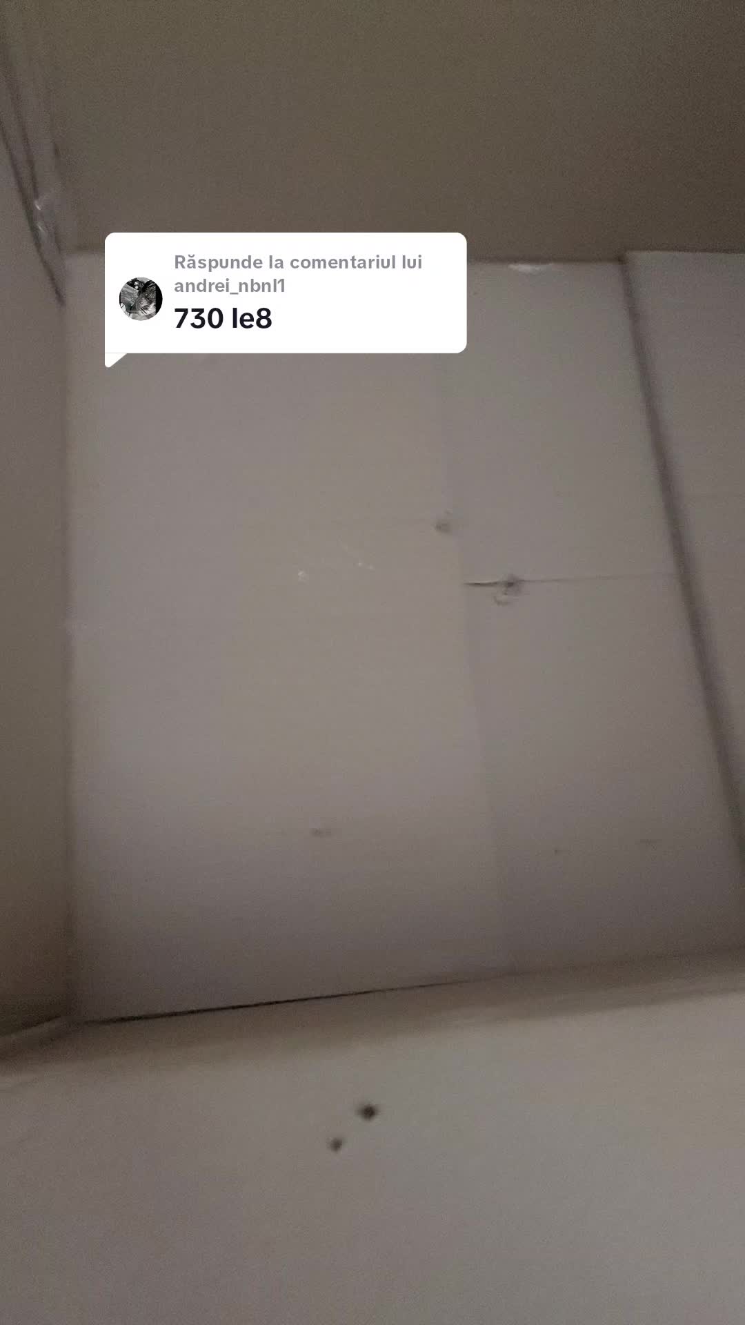@pyrothenice_romania444