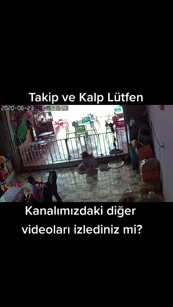 @sugibibilgiler