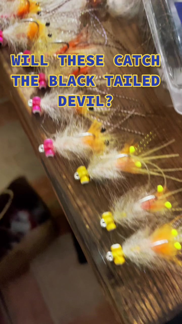 @Lord of the Flats