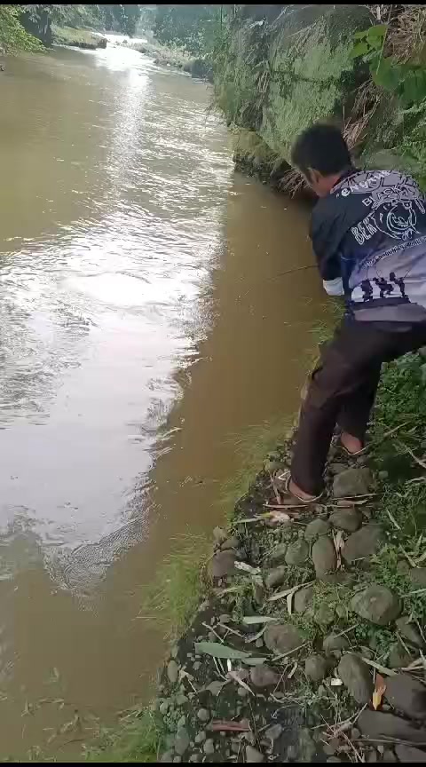 @Bambang praitno